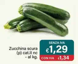 Altasfera Zucchina scura offerta