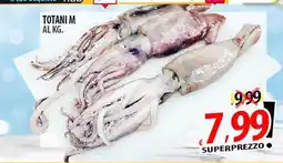 Il Genio Supermercato Totani M offerta