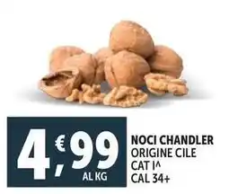 Deco Supermercati Noci chandler offerta
