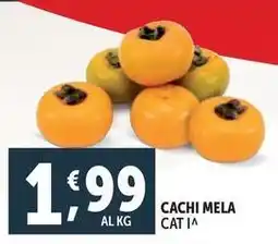 Deco Supermercati Cachi mela offerta