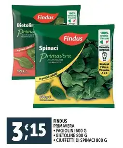 Deco Supermercati Findus primavera offerta