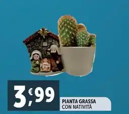 Deco Supermercati Pianta grassa con natività offerta