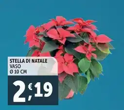 Deco Supermercati Stella di natale vaso ø10 cm offerta