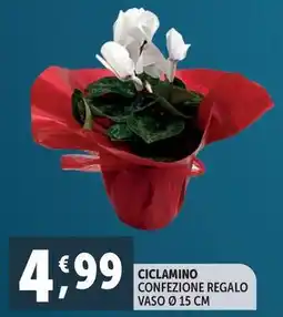 Deco Supermercati Ciclamino offerta