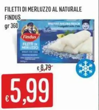 Sisa Filetti di merluzzo al naturale FINDUS offerta