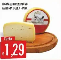 Sisa Formaggio contadino fattoria della piana offerta