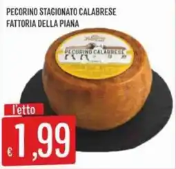 Sisa Pecorino stagionato calabrese fattoria della piana offerta