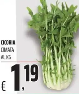 Coop Cicoria cimata offerta
