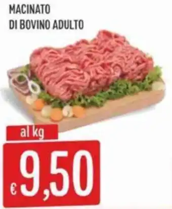 Sisa Macinato di bovino adulto offerta
