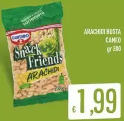 Sisa Arachidi busta CAMEO offerta