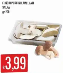 Sisa Funghi porcini lamellati salpa offerta