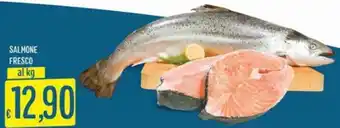 Sisa Salmone fresco offerta