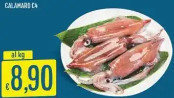 Sisa Calamaro c4 offerta