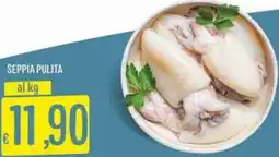 Sisa Seppia pulita offerta