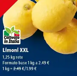 Lidl Limoni XXL offerta