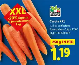 Lidl Carote XXL offerta