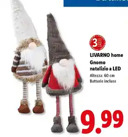 Lidl LIVARNO home Gnomo natalizio a LED offerta