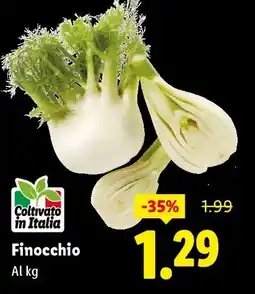Lidl Finocchio offerta