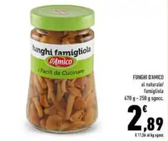 Funghi D'AMICO