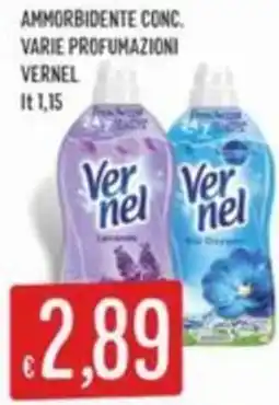 Sisa Ammorbidente conc VERNEL offerta