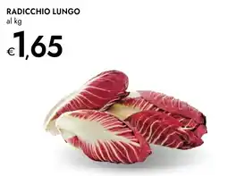 Bennet Radicchio lungo offerta