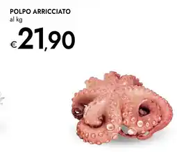 Bennet Polpo arricciato offerta