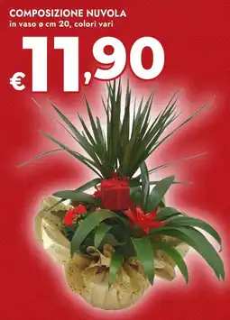 Bennet Composizione nuvola offerta