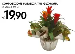 Bennet Composizione natalizia tris guzmania offerta