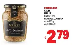 Metro Salse MAILLE offerta