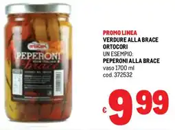 Metro Verdure alla brace ORTOCORI offerta