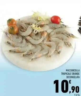 Conad Superstore Mazzancolle offerta