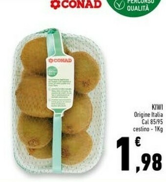 Conad Superstore Kiwi offerta