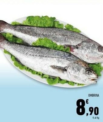 Conad Superstore Pesce offerta