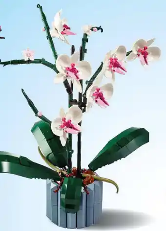 Lego botanicals orchidea
