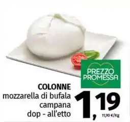 Pam COLONNE mozzarella di bufala campana dop - all'etto offerta