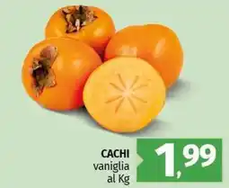 Pam Cachi vaniglia offerta