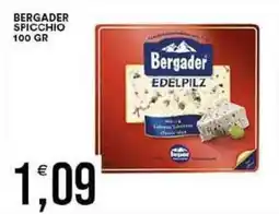 Vantaggio Cash&Carry Bergader spicchio offerta