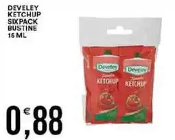 Vantaggio Cash&Carry Develey ketchup sixpack bustine offerta