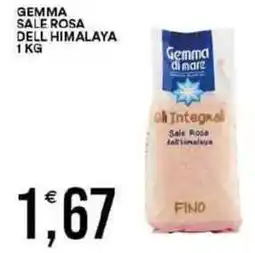 Vantaggio Cash&Carry Gemma sale rosa dell himalaya offerta