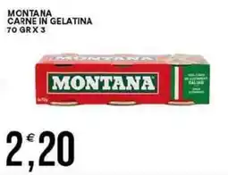 Vantaggio Cash&Carry Montana carne in gelatina offerta