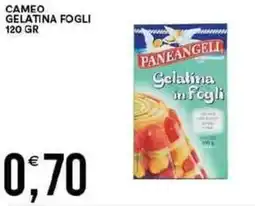 Vantaggio Cash&Carry Cameo gelatina fogli offerta