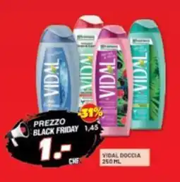 Risparmio Casa Vidal doccia offerta