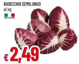 Galassia Radicchio semilungo offerta
