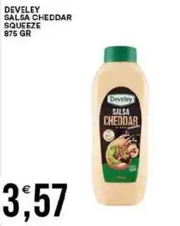 Vantaggio Cash&Carry Develey salsa cheddar squeeze offerta