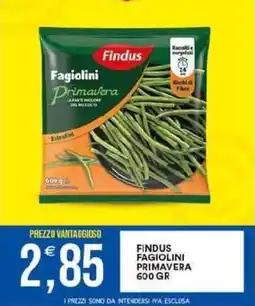 Vantaggio Cash&Carry Findus fagiolini primavera offerta