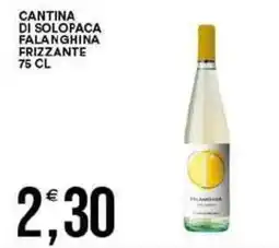 Vantaggio Cash&Carry Cantina di solopaca falanghina frizzante offerta