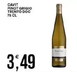Vantaggio Cash&Carry Cavit pinot grigio trento doc offerta