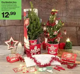 In'S Mercato Pino Natalizio Vero offerta
