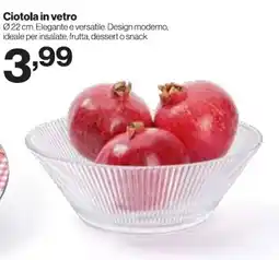 In'S Mercato Ciotola in vetro offerta