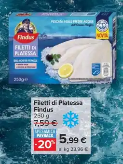Carrefour Market Filetti di Platessa Findus offerta